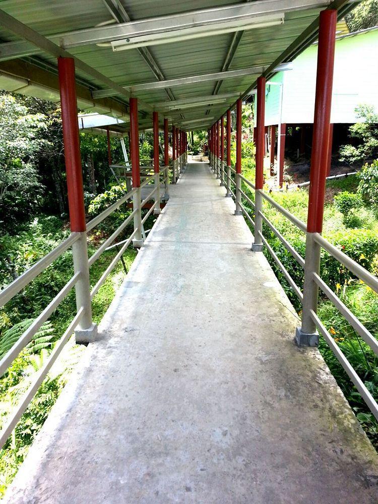Celyn Resort Kinabalu Kundasang Exterior photo